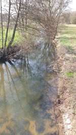 Hundeauslaufgebiet-Sandfang Kirchhain-Bild