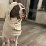 Ersteller:in Kadi Profilbild