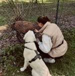 Ersteller:in Alina Profilbild