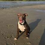 Ersteller:in Ilianna Profilbild