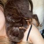 Ersteller:in Roxanne Profilbild