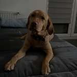 Ersteller:in Anna-Luisa Profilbild