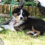 Ersteller:in Chris Profilbild