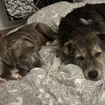 Ersteller:in Jaquline Profilbild