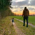 Ersteller:in Lino Profilbild