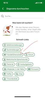 Fragen zum Dogorama-Hundeführerschein-Beitrag-Bild