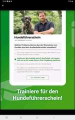 Fragen zum Dogorama-Hundeführerschein-Beitrag-Bild