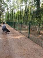 Hundeauslaufgebiet-Hundeauslaufplatz Wildau-Bild