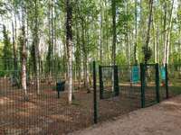 Hundeauslaufgebiet-Hundeauslaufplatz Wildau-Bild