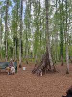Hundeauslaufgebiet-Hundeauslaufplatz Wildau-Bild