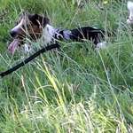 Ersteller:in Thomas Profilbild