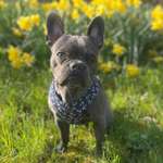 Ersteller:in Marion Profilbild