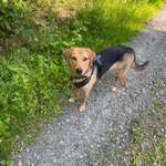 Ersteller:in Alexandra Profilbild