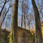 Hundeauslaufgebiet-Felsentheater Bad Liebenstein-Bild