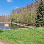 Hundeauslaufgebiet-Speicher Thal-Bild