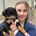 Ersteller:in Sahra Profilbild