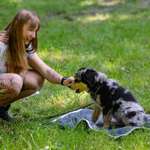 Ersteller:in Lisa Profilbild