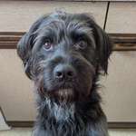 Ersteller:in Vivien Profilbild