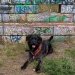 Ersteller:in Vivien Profilbild