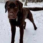 Ersteller:in Ina Profilbild