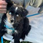 Ersteller:in Julia Profilbild