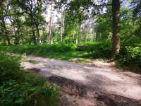 Hundeauslaufgebiet-Naturschutzgebiet Wentruper Berge-Bild