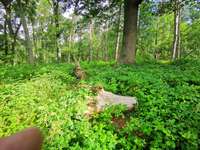 Hundeauslaufgebiet-Naturschutzgebiet Wentruper Berge-Bild