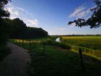 Hundeauslaufgebiet-Naturschutzgebiet Wentruper Berge-Bild