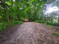 Hundeauslaufgebiet-Naturschutzgebiet Wentruper Berge-Bild