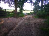 Hundeauslaufgebiet-Naturschutzgebiet Wentruper Berge-Bild