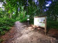 Hundeauslaufgebiet-Naturschutzgebiet Wentruper Berge-Bild