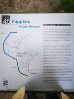 Hundeauslaufgebiet-Naturschutzgebiet Wentruper Berge-Bild