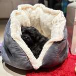 Ersteller:in Alessia Profilbild