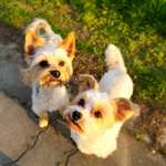 Ersteller:in Gi Profilbild