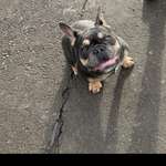 Ersteller:in Leonie Profilbild