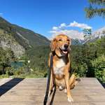 Ersteller:in Bianca Profilbild