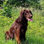 Ersteller:in Christopher Profilbild