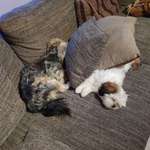 Ersteller:in Heidi Profilbild