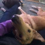 Ersteller:in Sandra Profilbild