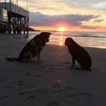 Ersteller:in Vivi Profilbild