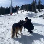 Ersteller:in Alexandra Profilbild