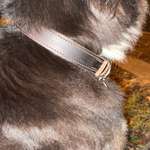 Ersteller:in Marie Profilbild