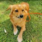 Ersteller:in Nicole Profilbild