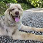 Ersteller:in J Profilbild