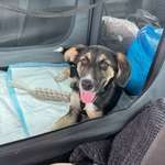 Ersteller:in Marcella/ Profilbild