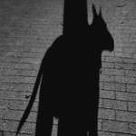 Ersteller:in Vicky & Profilbild