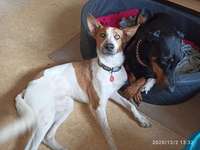 Lieblinge mit dem "Silberblick"-Beitrag-Bild