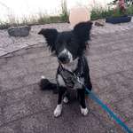 Ersteller:in Isabelle Profilbild