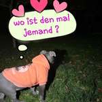 Ersteller:in Mama Profilbild