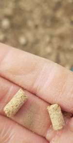 Dünger?-Beitrag-Bild